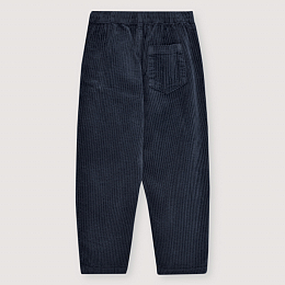 Штаны Nicol Infinite Navy от бренда The New Society