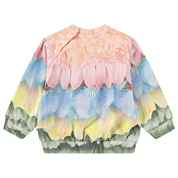 Свитшот Disc Petal Rainbow от бренда MOLO