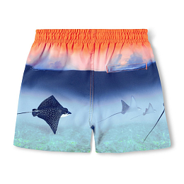 Шорты Niko Into The Sunset от бренда MOLO