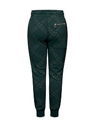 Джоггеры Green Logo от бренда Trussardi