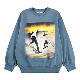 Свитшот Monti Park Skaters от бренда MOLO