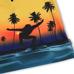 Лонгслив Noble Sunset Skate от бренда MOLO