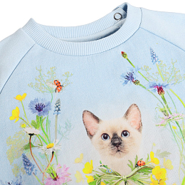 Свитшот Disc Meadow Kitten от бренда MOLO